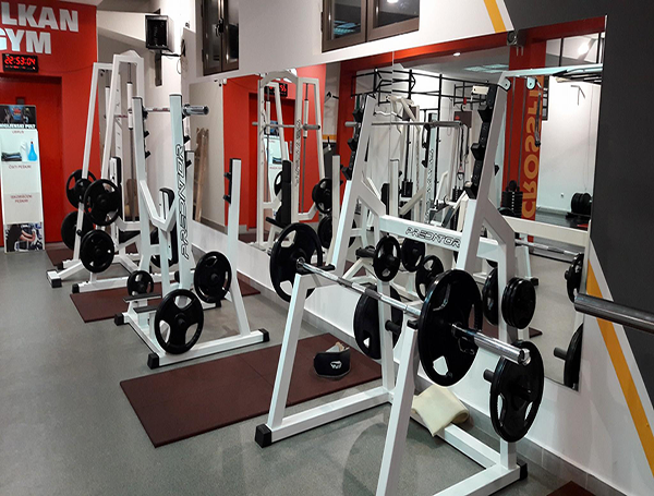 vulkan gym zemun teretana